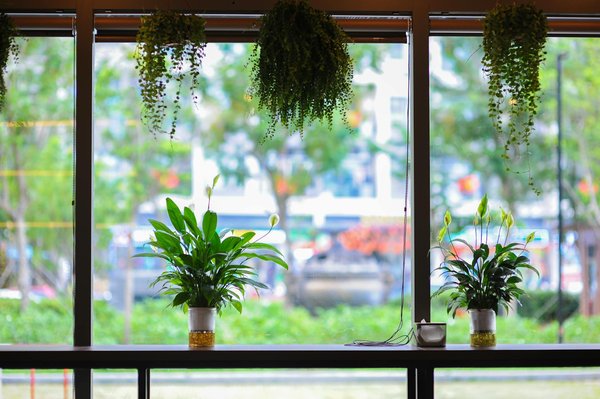 Quels sont les meilleurs moyens de protéger votre vie privée sur les réseaux sociaux en 2024 ?