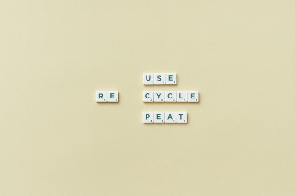 Comment créer une serre hydroponique à partir de matériaux recyclés pour cultiver vos légumes en hiver ?